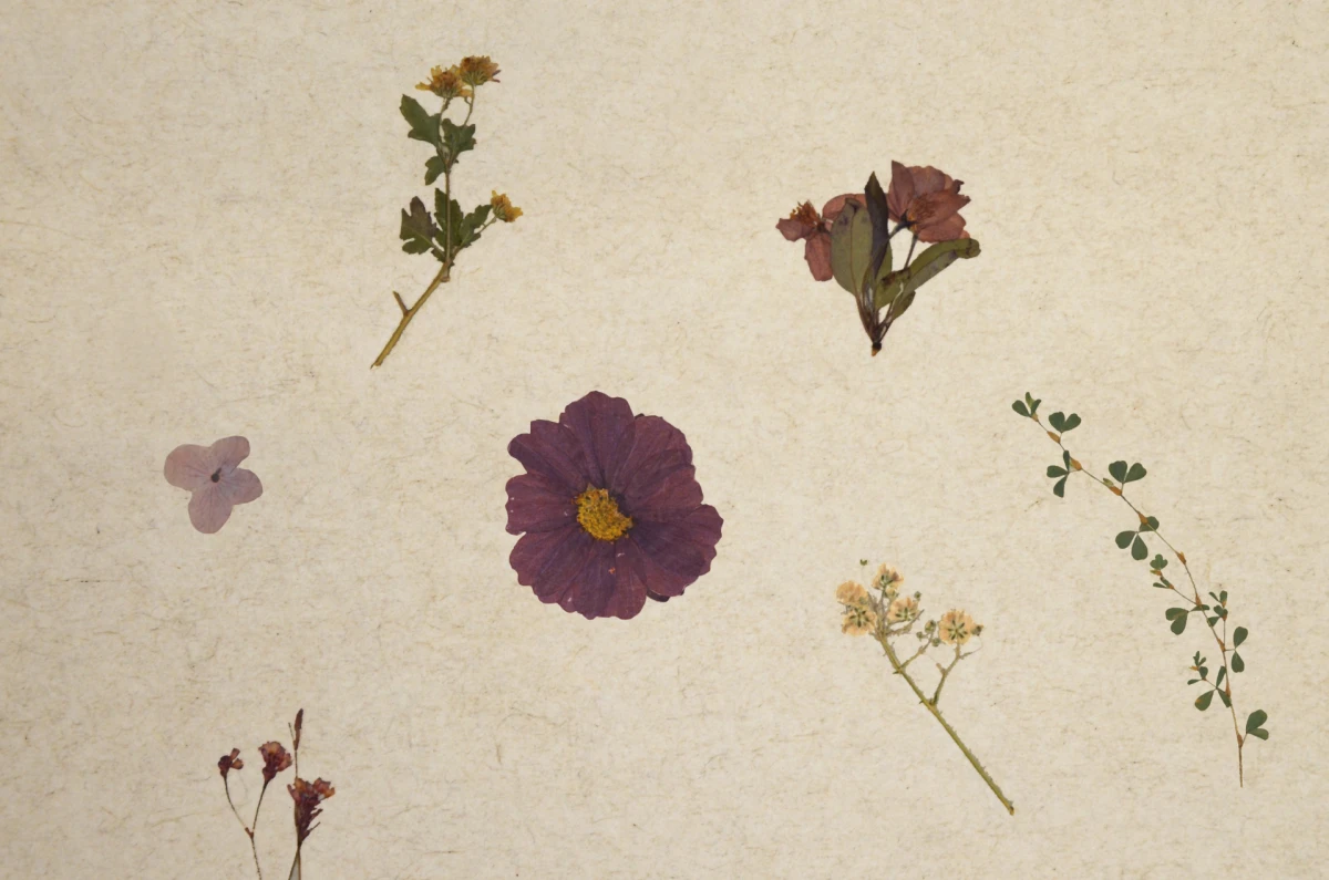 Kad prostor dobije karakter, teksturu i miris - to moraju biti organoidi