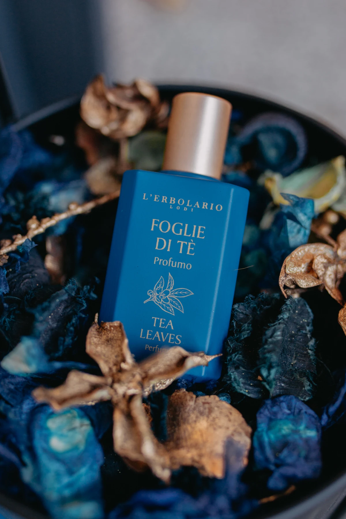 Ovo su parfemske linije koje bude osjetila i smiruju duh