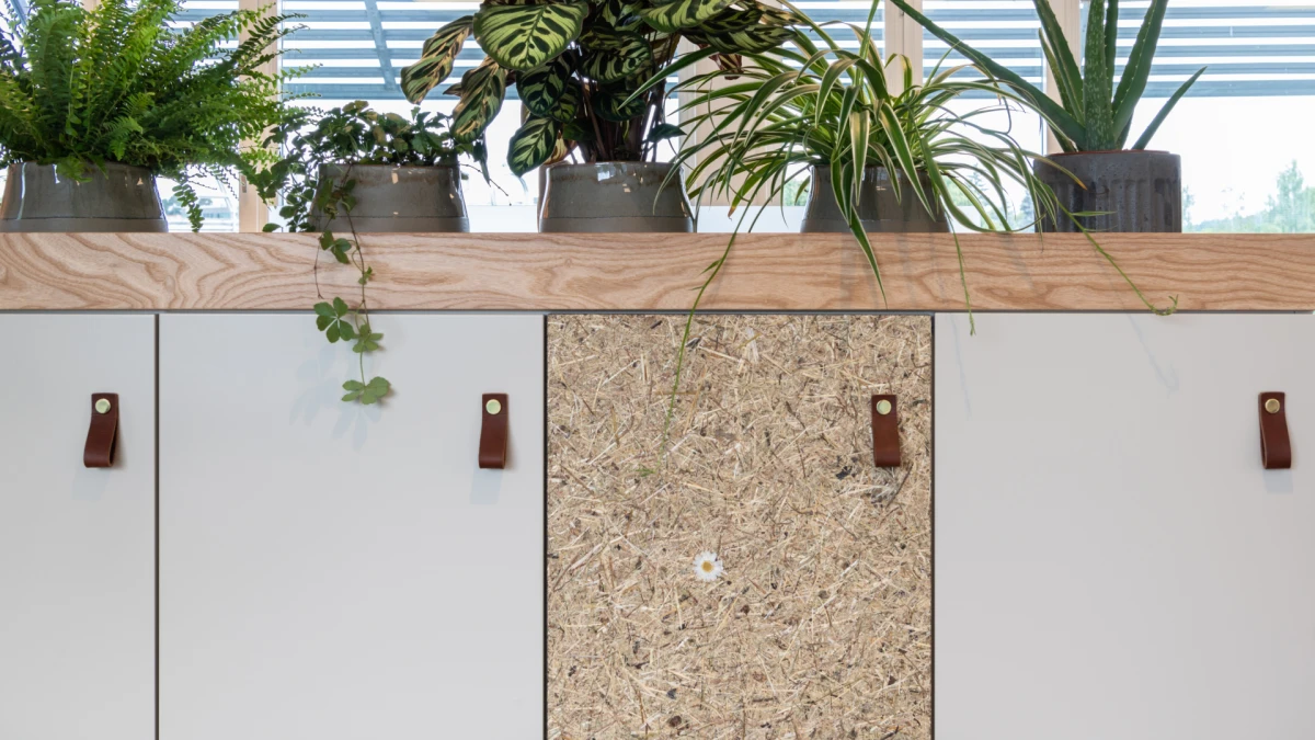 Dizajn koji budi sva vaša osjetila: Organoidi su sve češći odabir dizajnera interijera, a znamo i zašto