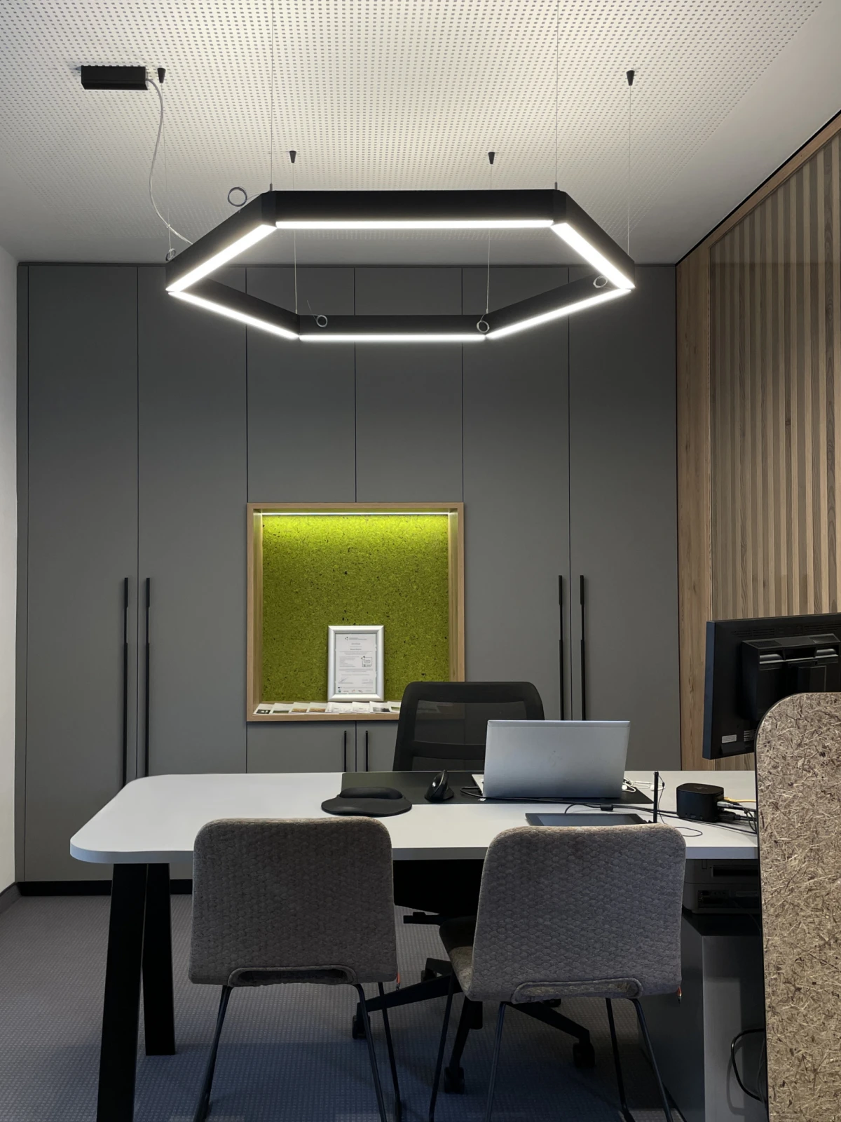 Dizajn koji budi sva vaša osjetila: Organoidi su sve češći odabir dizajnera interijera, a znamo i zašto