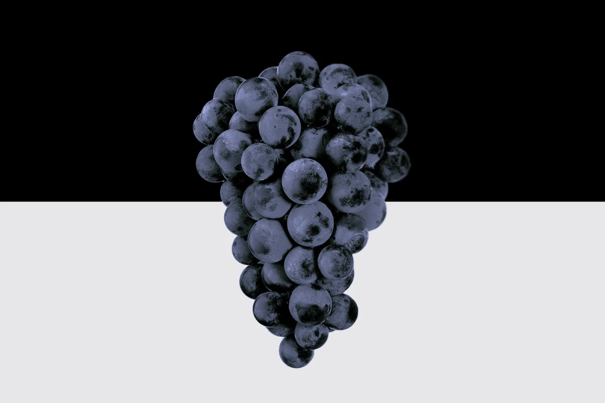 Crno na bijelo: Novo poglavlje elegancije iz Royal Hilla