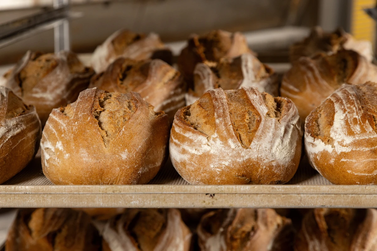 Pan-pek otkriva realnost domaće proizvodnje – što stoji iza kruha koji jedemo svaki dan