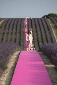 Pronašli smo top 7 parfema s notom lavande