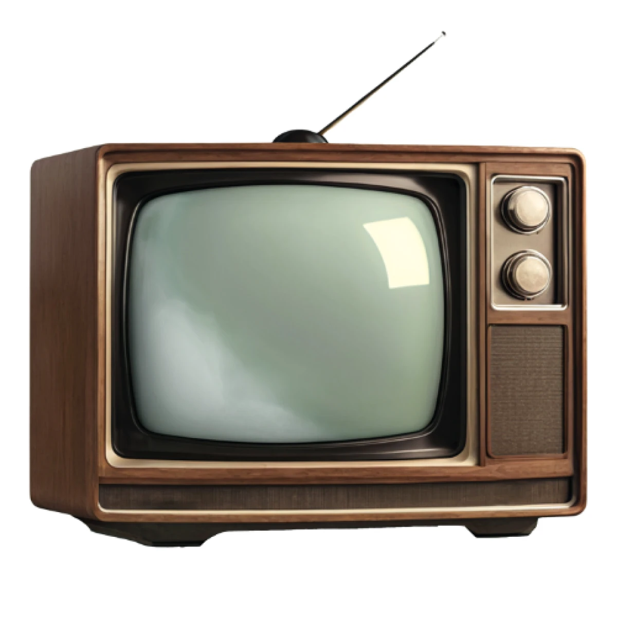 Piše Zrinka Pavlić: Televizija - od stupid boxa do vladarice industrije zabave