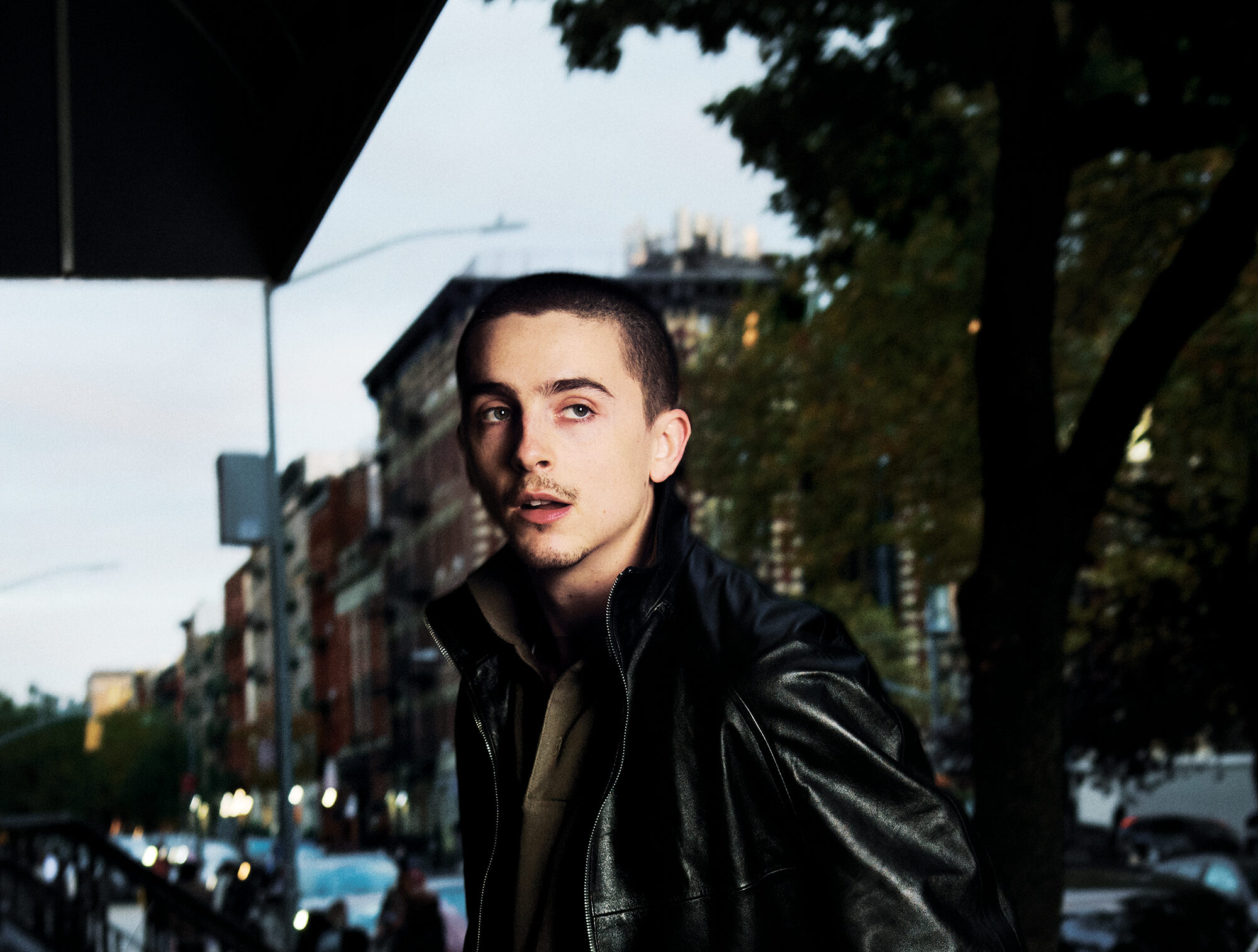 Timothée Chalamet krenuo je u nove poslovne vode