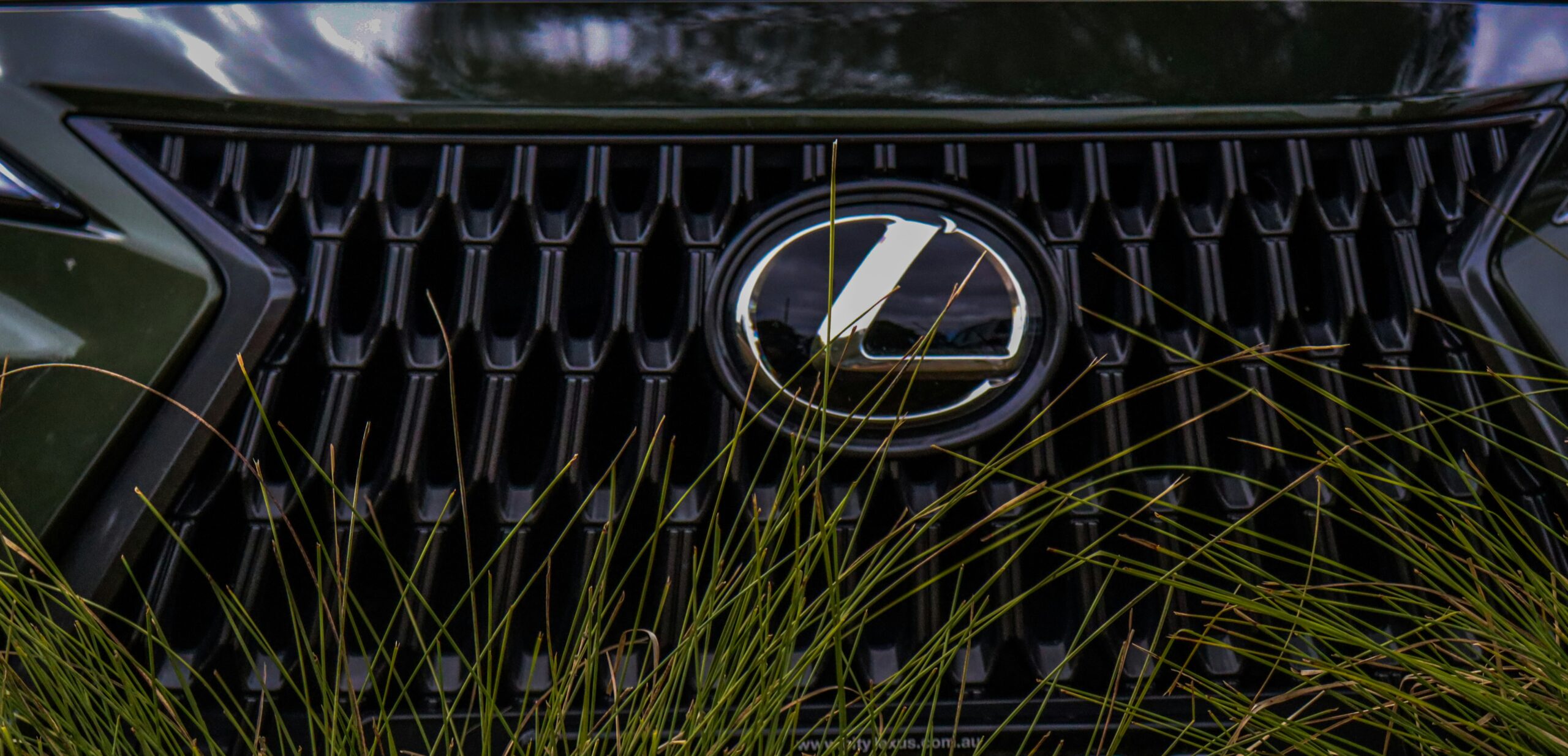 lexus