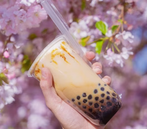 Bubble tea Zagreb