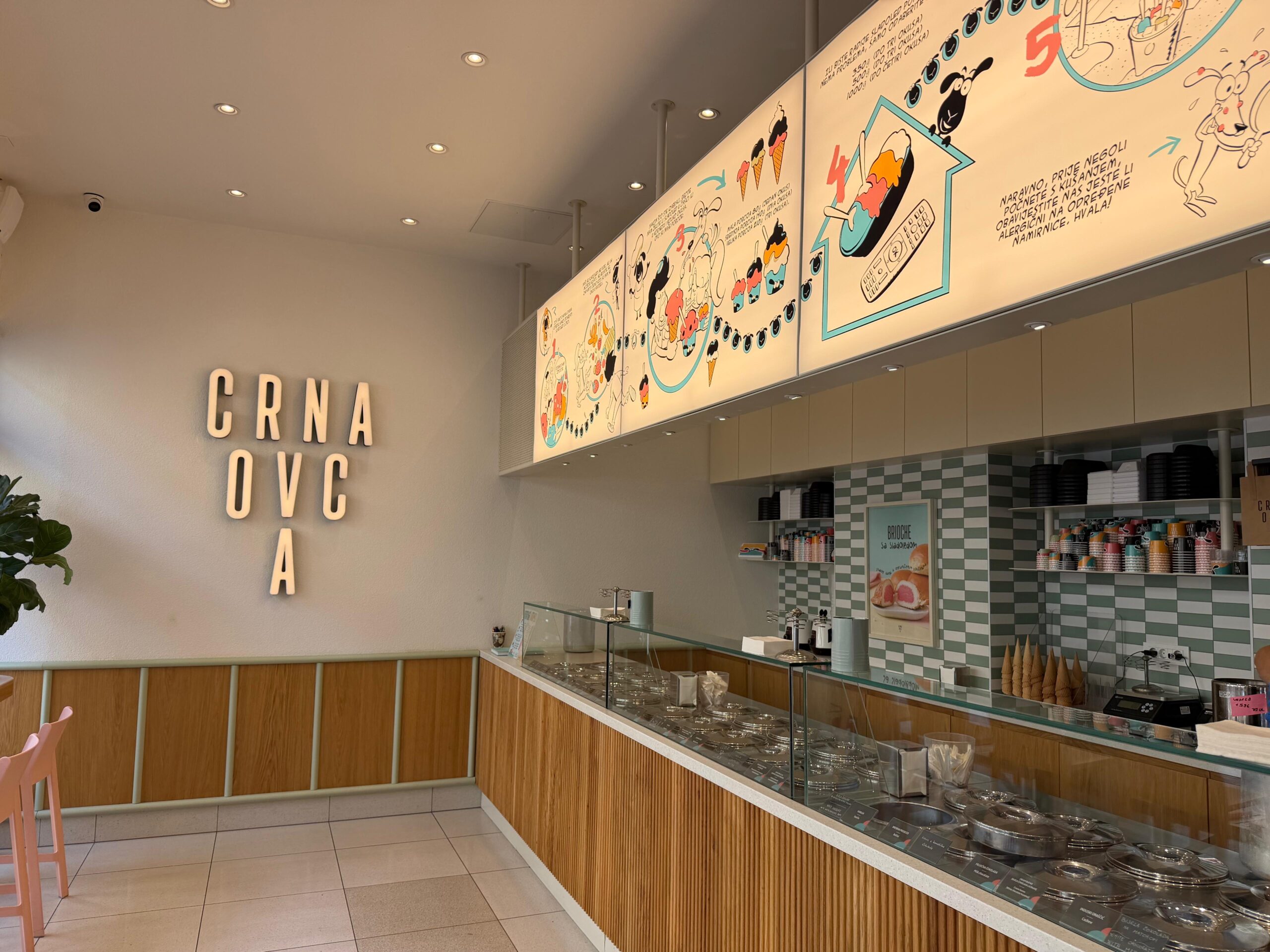 Crna Ovca