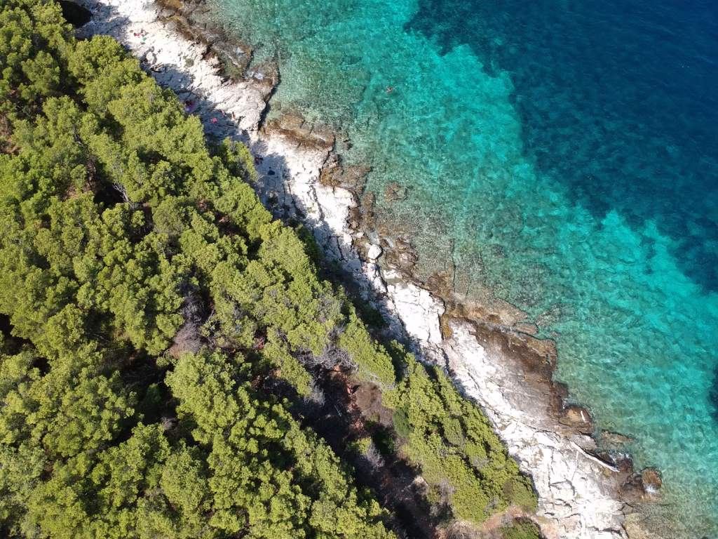 Hvar plaže