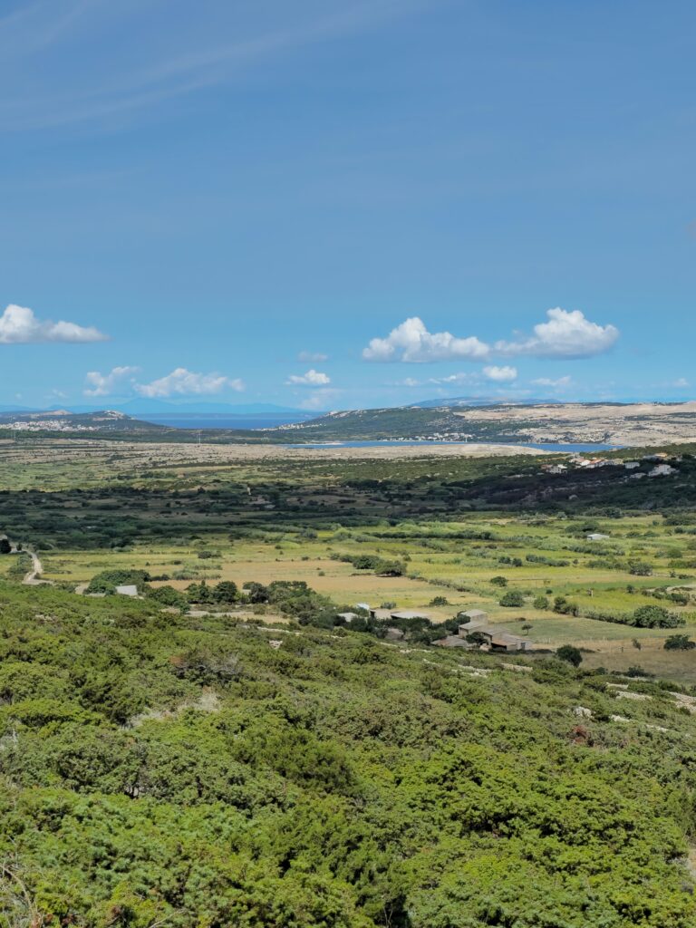 Dalmatinska zagora ljeto: otkrijte drugu stranu Dalmacije