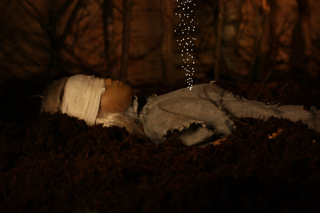 Ivana Fischer, After belonging, film still, stop-animation, 3 min, 2026 (3)