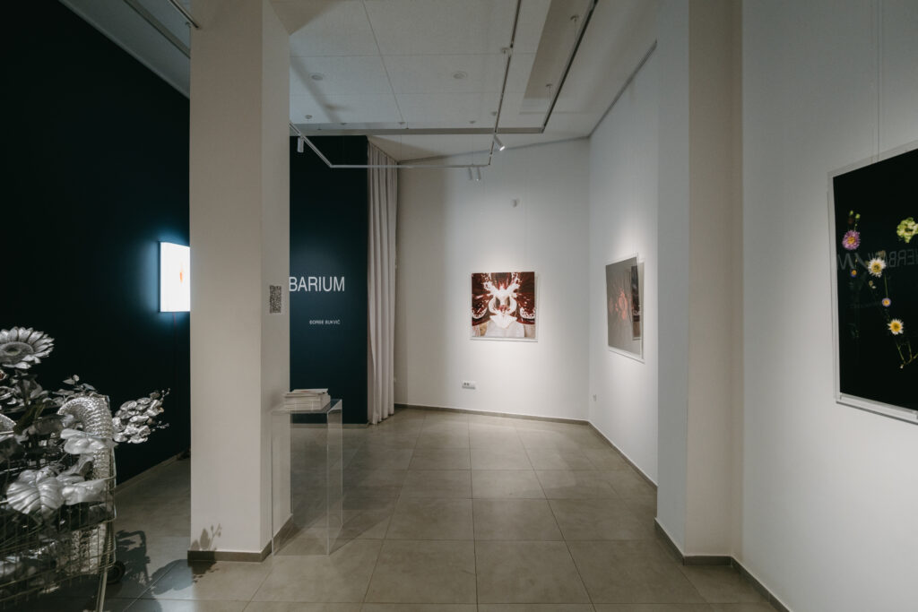 Herbarium x Djordje Bukvic
